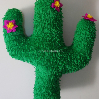 Pinata - Cactus